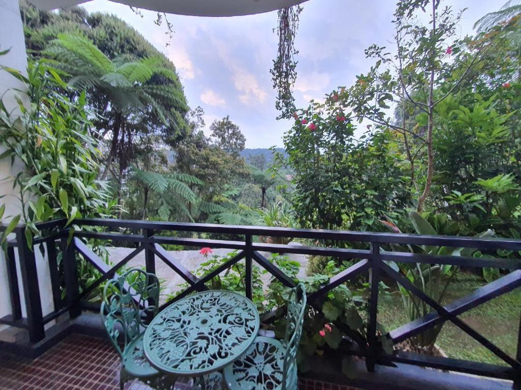 Gerard's Place Nature Haven